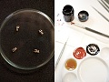 Нажмите на изображение для увеличения
Название: 2-Making-of-Roger-Dubuis-Knights-of-the-Roundtable-II-11-900x675.jpg
Просмотров: 486
Размер:	125.3 Кб
ID:	1002080
