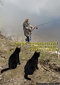 Нажмите на изображение для увеличения
Название: kotomatritsa_2.jpg
Просмотров: 201
Размер:	70.4 Кб
ID:	1003101