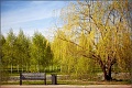 Нажмите на изображение для увеличения
Название: mitpark-03.jpg
Просмотров: 614
Размер:	338.4 Кб
ID:	1004215