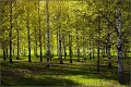 Нажмите на изображение для увеличения
Название: mitpark-05.jpg
Просмотров: 621
Размер:	397.4 Кб
ID:	1004216