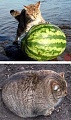 Нажмите на изображение для увеличения
Название: 1.jpg
Просмотров: 290
Размер:	49.0 Кб
ID:	1006163