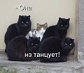 Нажмите на изображение для увеличения
Название: x_119fec18.jpg
Просмотров: 323
Размер:	36.8 Кб
ID:	1051628