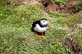 Нажмите на изображение для увеличения
Название: IMG_9572.jpg
Просмотров: 46
Размер:	524.3 Кб
ID:	1052002