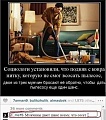 Нажмите на изображение для увеличения
Название: пылесос.jpg
Просмотров: 376
Размер:	49.4 Кб
ID:	1064367