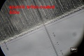 Нажмите на изображение для увеличения
Название: IMG_1120_tn.jpg
Просмотров: 222
Размер:	897.2 Кб
ID:	1066604