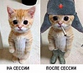 Нажмите на изображение для увеличения
Название: 5807717.jpg
Просмотров: 334
Размер:	69.4 Кб
ID:	1069290