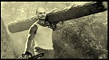 Нажмите на изображение для увеличения
Название: шварц.jpg
Просмотров: 334
Размер:	32.9 Кб
ID:	1085728