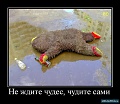 Нажмите на изображение для увеличения
Название: тлен 4.jpg
Просмотров: 307
Размер:	59.9 Кб
ID:	1086999