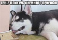 Нажмите на изображение для увеличения
Название: приуныл.jpg
Просмотров: 354
Размер:	46.0 Кб
ID:	1088019