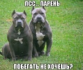 Нажмите на изображение для увеличения
Название: усейн болт.jpg
Просмотров: 301
Размер:	80.9 Кб
ID:	1089508