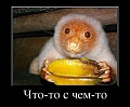 Нажмите на изображение для увеличения
Название: нечто.jpg
Просмотров: 294
Размер:	73.5 Кб
ID:	1090208