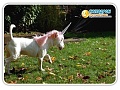 Нажмите на изображение для увеличения
Название: q6ySd6qSoIE.jpg
Просмотров: 231
Размер:	77.9 Кб
ID:	1093655