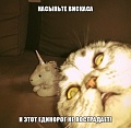 Нажмите на изображение для увеличения
Название: единорог.jpg
Просмотров: 210
Размер:	68.3 Кб
ID:	1094353