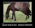Нажмите на изображение для увеличения
Название: цыган.jpg
Просмотров: 334
Размер:	55.6 Кб
ID:	1095042