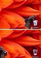 Нажмите на изображение для увеличения
Название: корзина.jpg
Просмотров: 342
Размер:	33.8 Кб
ID:	1097640