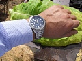 Нажмите на изображение для увеличения
Название: SDC17160.JPG
Просмотров: 1016
Размер:	584.1 Кб
ID:	1103146