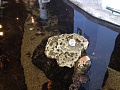 Нажмите на изображение для увеличения
Название: IMG_0324.jpg
Просмотров: 266
Размер:	392.0 Кб
ID:	1106609