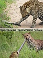 Нажмите на изображение для увеличения
Название: 6060212.jpg
Просмотров: 349
Размер:	271.1 Кб
ID:	1106749