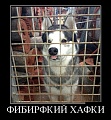 Нажмите на изображение для увеличения
Название: 1440642515_demotivatory_01.jpg
Просмотров: 444
Размер:	66.8 Кб
ID:	1111630