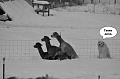 Нажмите на изображение для увеличения
Название: image.jpg
Просмотров: 286
Размер:	53.3 Кб
ID:	1116487