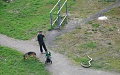 Нажмите на изображение для увеличения
Название: image-uni-128365-232430930.jpg
Просмотров: 397
Размер:	106.4 Кб
ID:	1117486