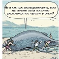 Нажмите на изображение для увеличения
Название: эволюшн.jpg
Просмотров: 350
Размер:	114.3 Кб
ID:	1126639