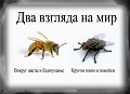 Нажмите на изображение для увеличения
Название: image.jpg
Просмотров: 309
Размер:	48.7 Кб
ID:	1127244