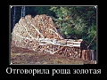 Нажмите на изображение для увеличения
Название: image-uni-128365-848275513.jpg
Просмотров: 342
Размер:	135.2 Кб
ID:	1128156