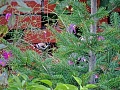 Нажмите на изображение для увеличения
Название: DSC02506.jpg
Просмотров: 168
Размер:	782.0 Кб
ID:	1132693