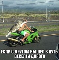 Нажмите на изображение для увеличения
Название: 1443481824_dnevnaya_podborka_33.jpg
Просмотров: 476
Размер:	89.5 Кб
ID:	1143584