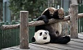 Нажмите на изображение для увеличения
Название: image.jpeg
Просмотров: 56
Размер:	254.1 Кб
ID:	1145288