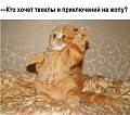 Нажмите на изображение для увеличения
Название: 1444353245_podborka_dnevnaya_02 (1).jpg
Просмотров: 505
Размер:	62.9 Кб
ID:	1153963