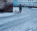Нажмите на изображение для увеличения
Название: свинка.jpg
Просмотров: 409
Размер:	65.7 Кб
ID:	1154045