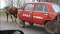 Нажмите на изображение для увеличения
Название: конина.jpg
Просмотров: 465
Размер:	51.6 Кб
ID:	1158152