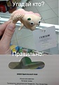 Нажмите на изображение для увеличения
Название: паук.jpg
Просмотров: 482
Размер:	46.6 Кб
ID:	1158155