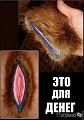 Нажмите на изображение для увеличения
Название: post-1815-1387866847_thumb.jpg
Просмотров: 462
Размер:	26.2 Кб
ID:	1158906