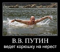 Нажмите на изображение для увеличения
Название: post-1748-1387695135_thumb.jpg
Просмотров: 382
Размер:	44.3 Кб
ID:	1158909