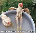 Нажмите на изображение для увеличения
Название: image.jpeg
Просмотров: 299
Размер:	112.1 Кб
ID:	1159282