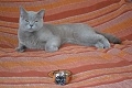 Нажмите на изображение для увеличения
Название: DSC_0086.jpg
Просмотров: 1123
Размер:	346.9 Кб
ID:	116002