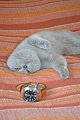 Нажмите на изображение для увеличения
Название: DSC_0087.jpg
Просмотров: 1012
Размер:	282.2 Кб
ID:	116003
