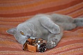 Нажмите на изображение для увеличения
Название: DSC_0092.jpg
Просмотров: 892
Размер:	256.1 Кб
ID:	116006