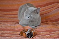 Нажмите на изображение для увеличения
Название: DSC_0102.jpg
Просмотров: 963
Размер:	283.7 Кб
ID:	116009