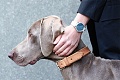 Нажмите на изображение для увеличения
Название: Blue_JayWatch.jpg
Просмотров: 321
Размер:	445.5 Кб
ID:	1173537