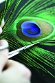 Нажмите на изображение для увеличения
Название: Workshop_Feather.jpg
Просмотров: 283
Размер:	514.7 Кб
ID:	1173539