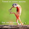 Нажмите на изображение для увеличения
Название: 6481569.jpg
Просмотров: 540
Размер:	25.9 Кб
ID:	1176682