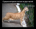 Нажмите на изображение для увеличения
Название: 6428077.jpg
Просмотров: 554
Размер:	71.3 Кб
ID:	1176685