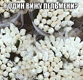 Нажмите на изображение для увеличения
Название: image.jpeg
Просмотров: 424
Размер:	115.1 Кб
ID:	1192940