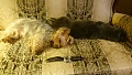 Нажмите на изображение для увеличения
Название: DSC_0155.jpg
Просмотров: 432
Размер:	359.4 Кб
ID:	1196041