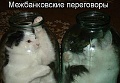 Нажмите на изображение для увеличения
Название: 6593317.jpg
Просмотров: 401
Размер:	53.8 Кб
ID:	1196388