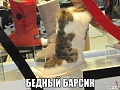 Нажмите на изображение для увеличения
Название: 2015_07_05_13_07_40_949582d434789a7ff8baf8d2f450c48c (1).jpg
Просмотров: 389
Размер:	40.5 Кб
ID:	1200741